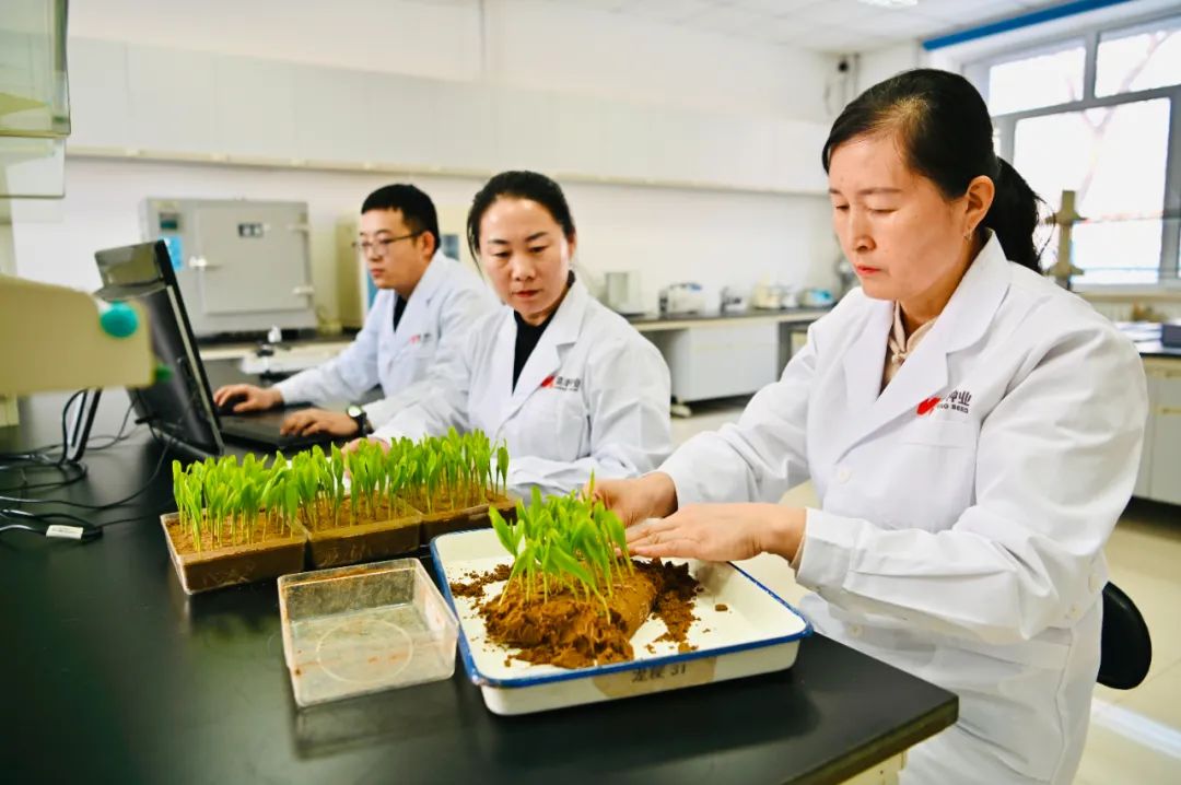种子有了基因位点地图!浪潮信息助力北大荒垦丰种业创新育种-浪潮信息